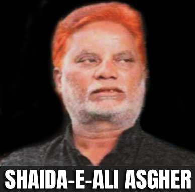 Shaida-e-Ali Asgher (Choti Bargah)