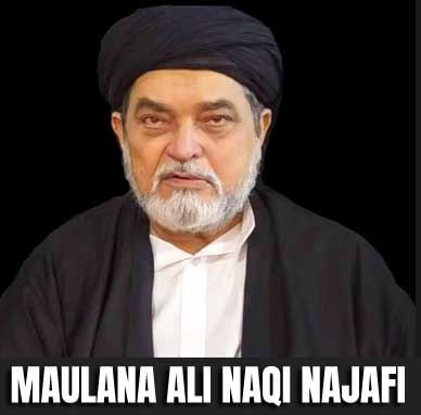 Maulana Ali Naqi Najafi